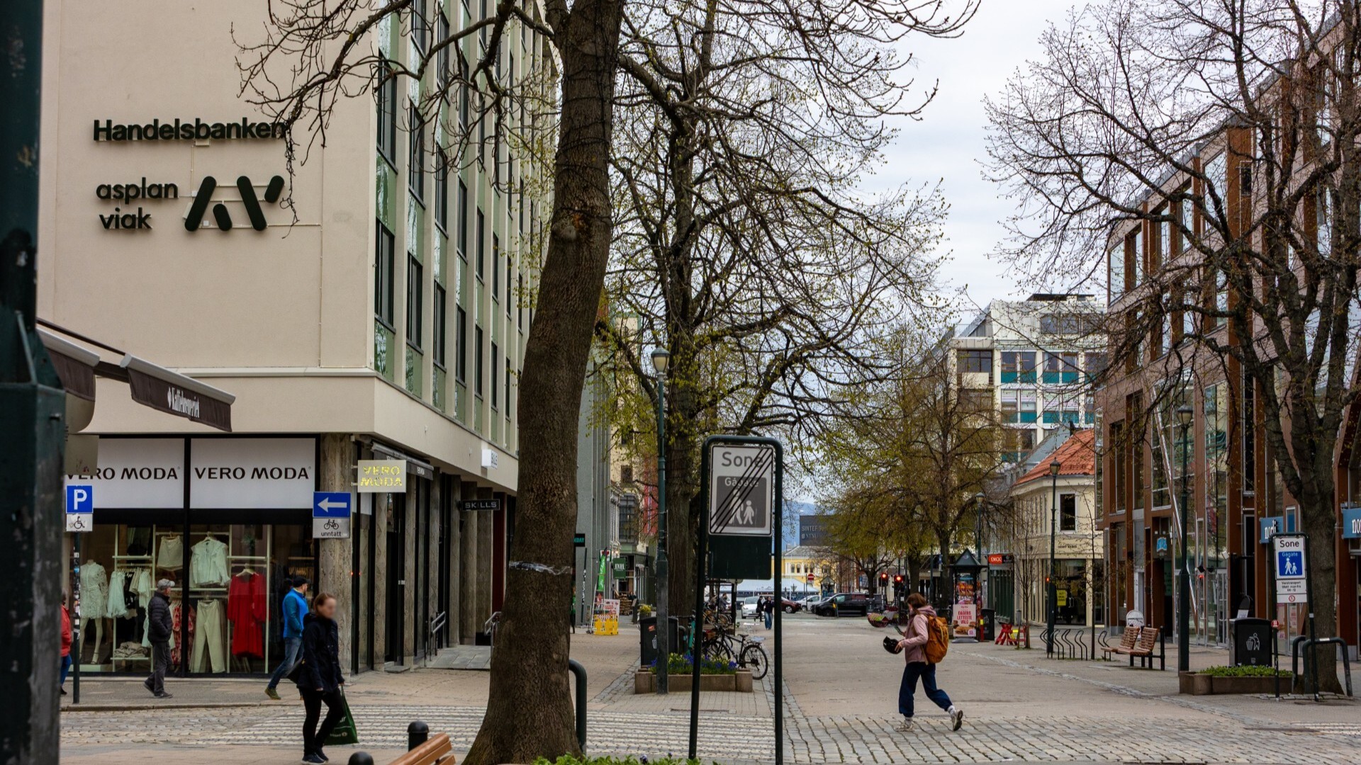 Foto fra Asplan Viak liggende